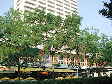 Hotel - Cherno more