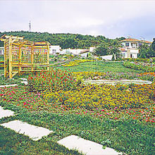 Image Panorama-Bultrac Holiday village Bulgaria
